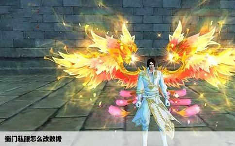 蜀门私服怎么改数据